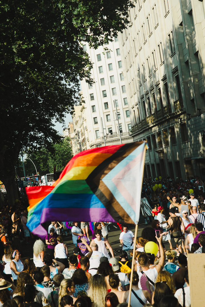 Gran bandera LGBTQIA+ onejant enmig d’una manifestació multitudinària en un carrer urbà. La bandera, amb franges de colors de l’arc de Sant Martí i el símbol triangular inclusiu, destaca davant d’edificis alts i arbres que projecten ombra sobre la multitud.