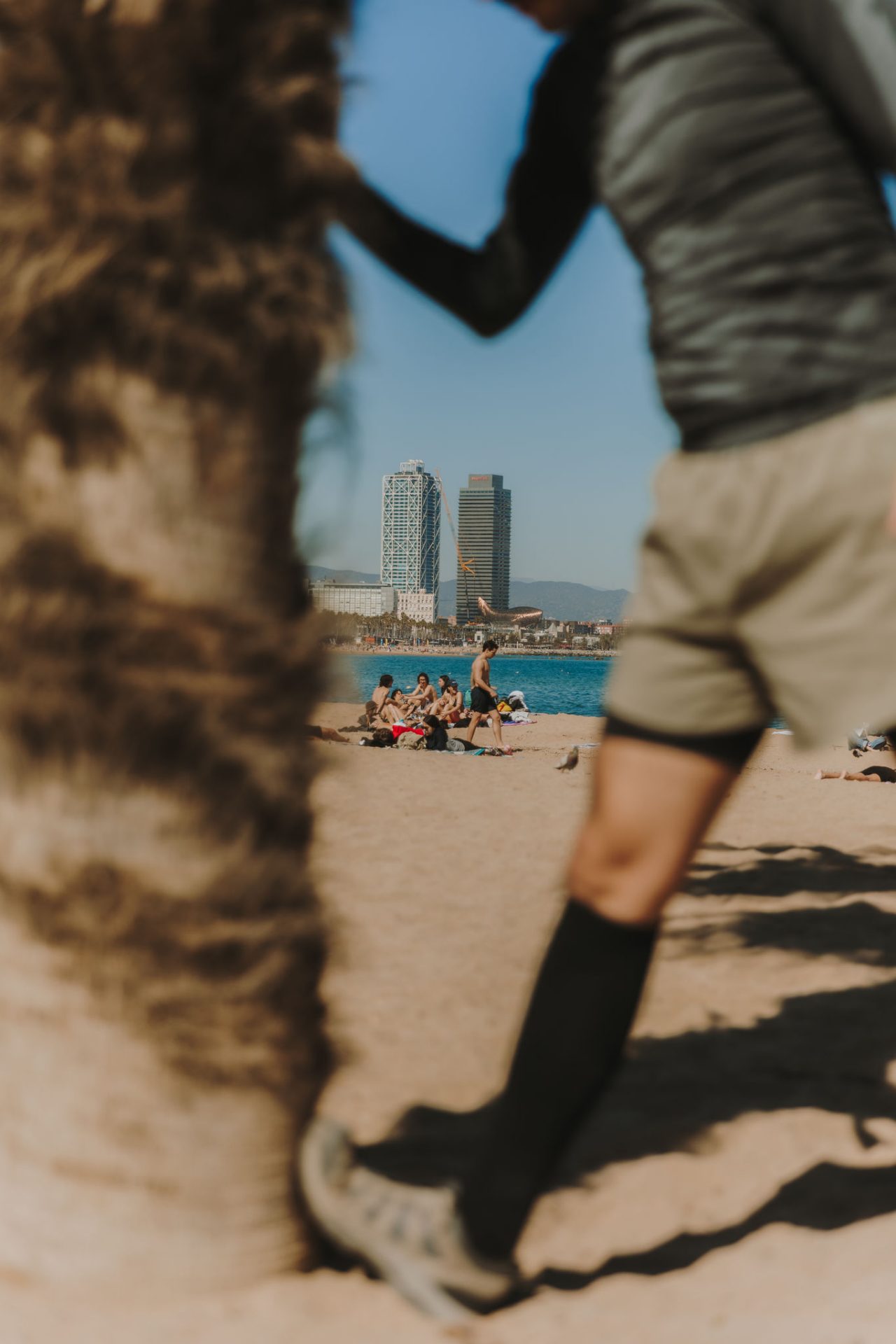 Person stretching on the beach next to a palm tree, wearing compression socks. In the background, beachgoers, the sea and the Port Olímpic towers.
