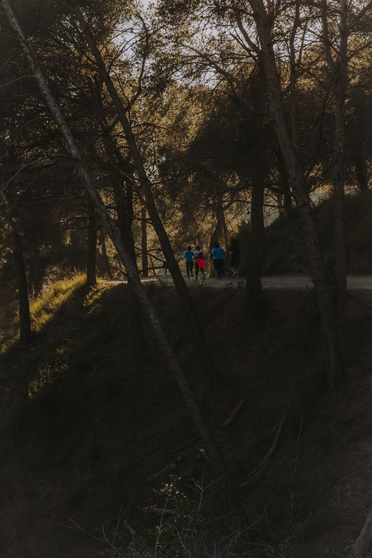 Personas corriendo por un camino de tierra entre árboles, en una zona boscosa con luz de tarde.