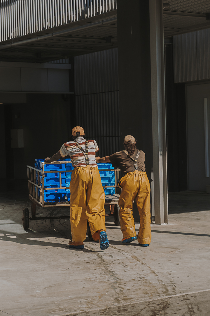 Dos trabajadores, vistos de espaldas, trasladan un carro lleno de cajas azules apiladas en un espacio de carga y descarga. Llevan pantalones impermeables amarillos y se encuentran en un entorno relacionado con la manipulación de producto pesquero.