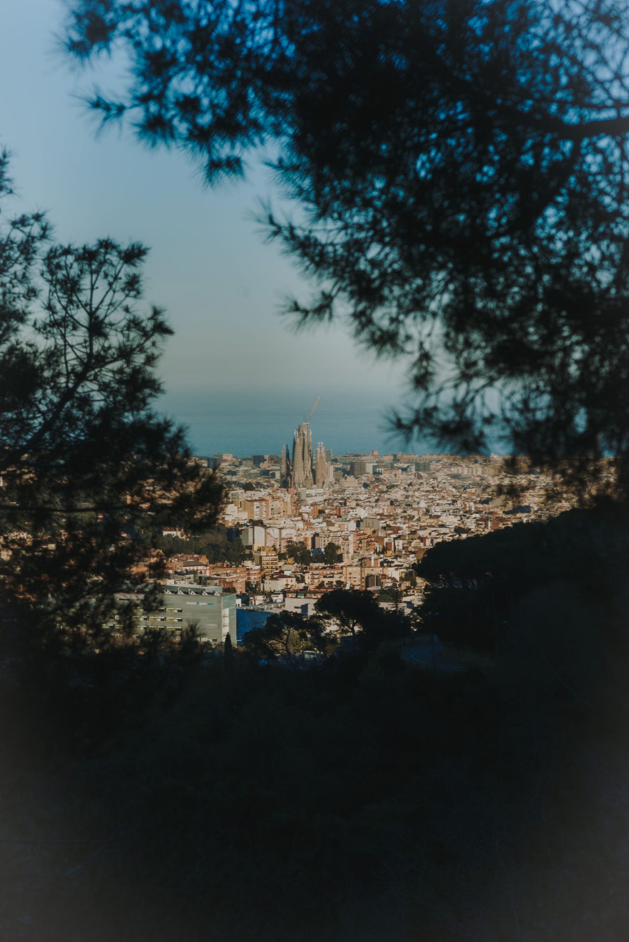 Vue panoramique de Barcelone encadrée par des arbres, avec la Sagrada Família au centre et la mer en arrière-plan.