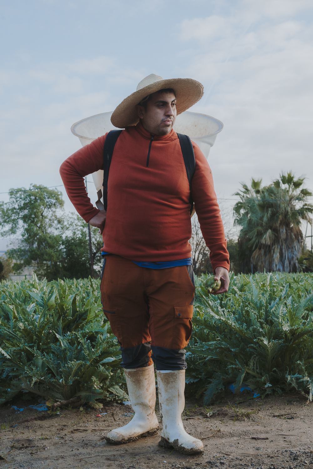 Uomo in piedi davanti a un campo di carciofi. Indossa un cappello di paglia a tesa larga, un maglione rosso, pantaloni con tasche e stivali di gomma bianchi. Sulla schiena porta uno zaino per raccogliere i carciofi.